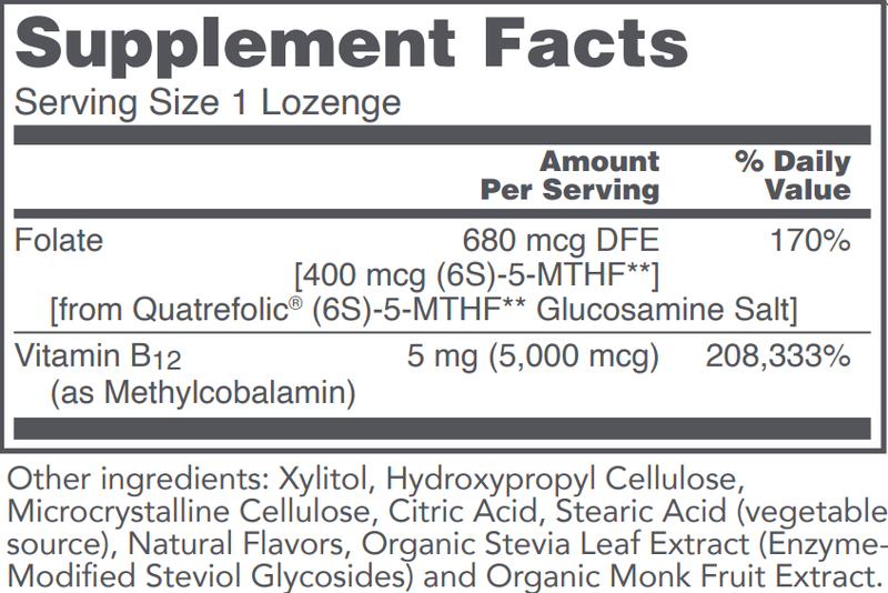 Protocol For Life Balance - Methyl B12 5,000mcg with Folic Acid - OurKidsASD.com - 